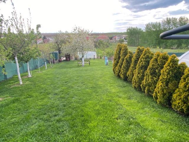 Holiday Home V Kolte Kolta Экстерьер фото